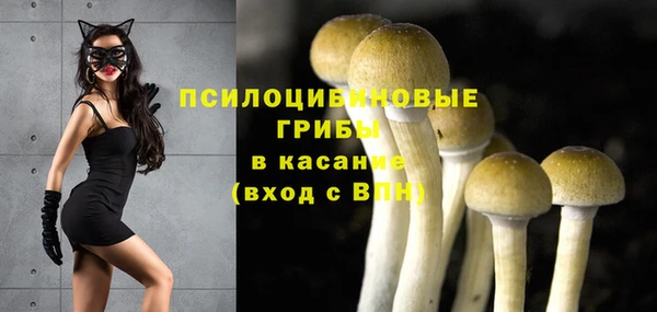 кристаллы Козельск