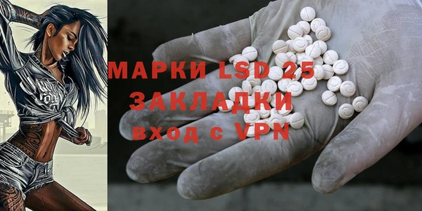 ГАЛЛЮЦИНОГЕННЫЕ ГРИБЫ Кодинск