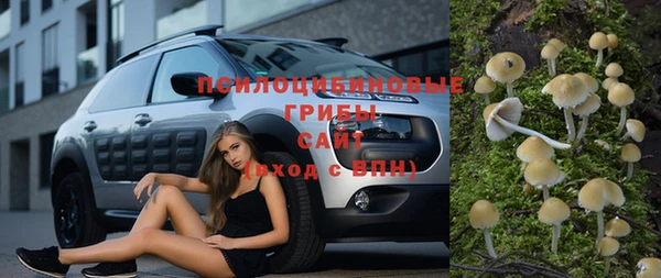 герыч Козловка