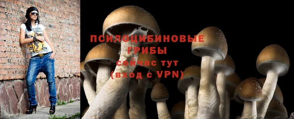 ГАЛЛЮЦИНОГЕННЫЕ ГРИБЫ Кодинск