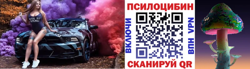 Псилоцибиновые грибы Cubensis  Купить где  Кущёвская 